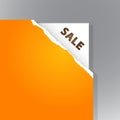 Teared paper with Sale sign. Royalty Free Stock Photo