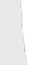 Teared from top to bottom vertical sheet of white paper. Vector paper template Royalty Free Stock Photo