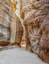 The tearing sandstone walls of the Siq canyon walk into Petra, Jordan. Royalty Free Stock Photo