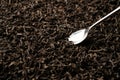 A teaspoon scooping up black loose-leaf tea and being examined in detail. Close up, angled view.