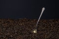 A teaspoon sticks out of a pile of loose tea