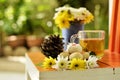 Teatime with Chinese pastry and tea and flower on a orange chair Royalty Free Stock Photo