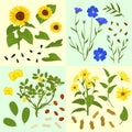 Technical Flowers Seed Compositions