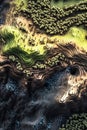 Technical LiDAR GIS visualization of a national park showing elevation hiking trails and terrain details in 3D.
