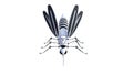 Technical mosquito robots, artificial intelligence created in different perspectives with 15 degrees each.