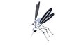 Technical mosquito robots, artificial intelligence created in different perspectives with 15 degrees each.