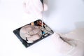 Technical surgeon working on hard drive - data recovery Royalty Free Stock Photo