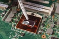 Technician applying thermal paste with syringe on the CPU processor on motherboard laptop Royalty Free Stock Photo