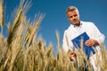 Technician checking the growth of the wheat field