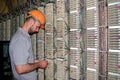 The technician connects the wires to the patch panel of the server room of the data center. The engineer works with the telephone Royalty Free Stock Photo