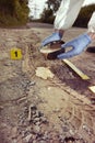 Technician Criminologist preparing tire print left in dust of field way for documentation Royalty Free Stock Photo