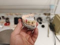 Technician dental is working with complete metal ceramic prosthesis dental.