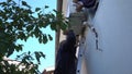 Technician do checking, montage, repair on outdoor air conditioner