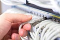 IT consultant connects a network cable into switch in datacenter Royalty Free Stock Photo