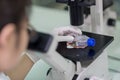 Technician examining specimen under microscope Royalty Free Stock Photo