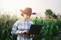 Technician farmer use laptop computer checking corn in farm. technology agriculture conept