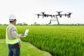 Technician farmer use wifi computer control agriculture drone fly to sprayed fertilizer on the rice fields, Smart farm 4.0 concept
