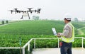 .Technician farmer use wifi computer control agriculture drone fly to sprayed fertilizer on the tea fields Royalty Free Stock Photo