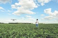 Technician farmer use wifi computer control agriculture drone on green field