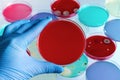 Technician hand holding petri dish in the lab Royalty Free Stock Photo