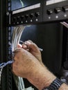 Technician hands installing network cables in server rack Royalty Free Stock Photo