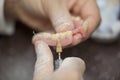 Technician make denture prothesis in dental laboratory Royalty Free Stock Photo