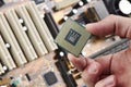 technician person holds cpu central processor unit over circuit board background. hardware research concept