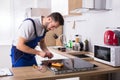 Technician Repairing Induction Stove In Kitchen Royalty Free Stock Photo