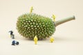 Technicians cleaning toxic on Durian.Cleaning fruit concept. Selective focus