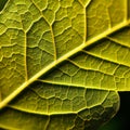 Techno-organic Fusion: Close-up Of A Yellow Leaf With Precisionist Lines