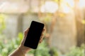 Technolgy Concept. Close up of woman hand holding mobile smartphone with black blank screen copy space with green garden as Royalty Free Stock Photo