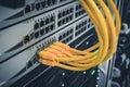 The technological concept of a modern data center. A bunch of yellow utp cables connect to the network interfaces of the Internet Royalty Free Stock Photo
