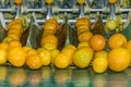 Technological process at the orange cannery or plant. Automatic fruit sorting