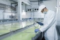 Man in a white robe and a cap make an inspection of dairy products