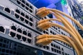 Technology concept. A bunch of yellow communication cables connect to the router interfaces. Telecommunication equipment is in the Royalty Free Stock Photo