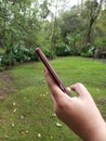 hand of a woman using a smartphone in an open place with vegetation