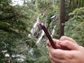 hands of a woman using a smartphone in a park with a cascade in the background