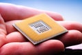 Technology electronic concept. cpu microprocessor chip in hand