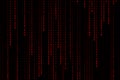 Technology digital matrix dark or black background with binary code in red color. Royalty Free Stock Photo