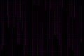 Technology digital matrix dark or black background with binary code in violet or purple color. Royalty Free Stock Photo