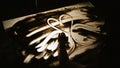 Technology of drawing on the sand. The female artist is drawing two kissing swangs.