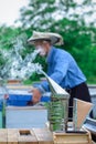 Technology of fumigation of bees. Intoxicating smoke for safe honey production.