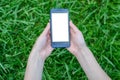Technology and nature. Hands holding mobile phone with white blank screen over background of grass cell cellphone smart smartphone Royalty Free Stock Photo