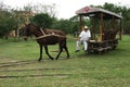 Horse pulled cart running on rails at Hacienda Sotuta de Peon