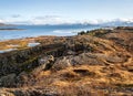 Tectonic rift in Thingvellir National Park in Iceland