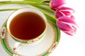 Tecup and tulips Royalty Free Stock Photo