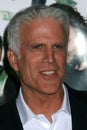 Ted Danson Royalty Free Stock Photo