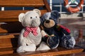 Teddies on a Cruiser