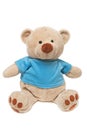 Teddy bear Royalty Free Stock Photo