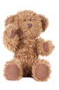 Teddy bear Royalty Free Stock Photo